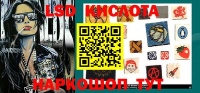гидропоника Рязань