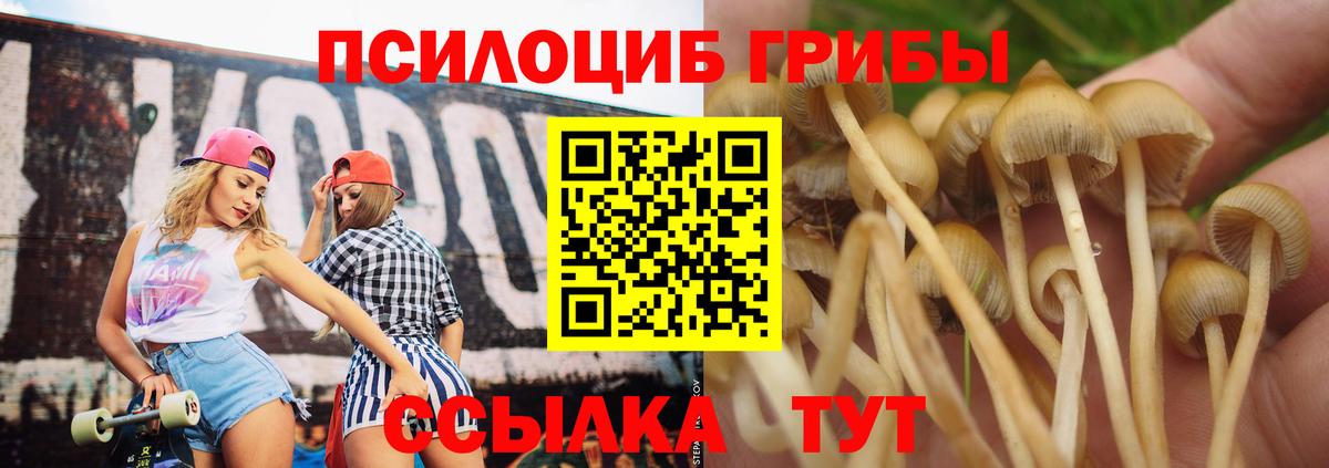 Свободный  цена   Вход с VPN  Псилоцибиновые грибы мицелий  Псилоцибиновые грибы MAGIC MUSHROOMS 